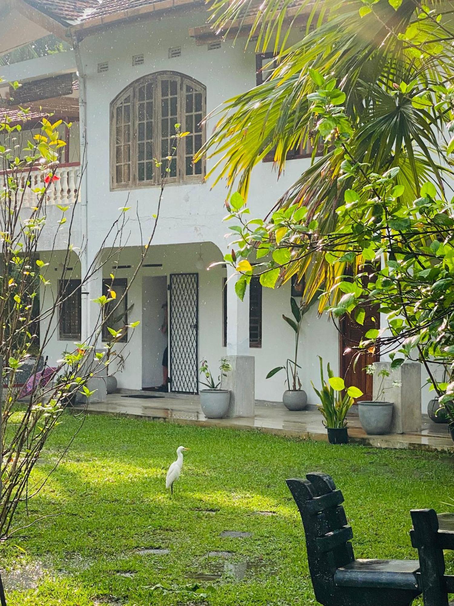 Sunny'S Garden Hotel Ambalangoda  Εξωτερικό φωτογραφία